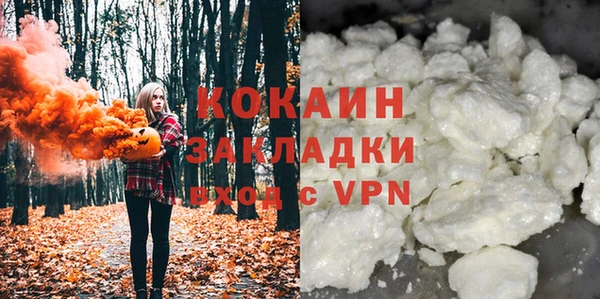 стаф Ладушкин