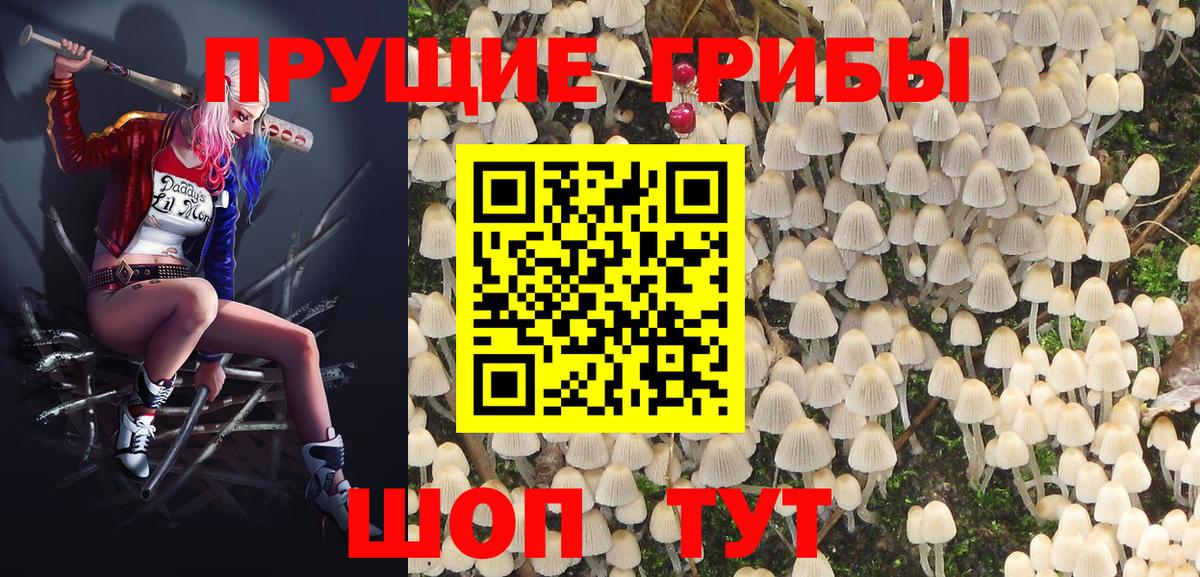 Галлюциногенные грибы прущие грибы Кимовск