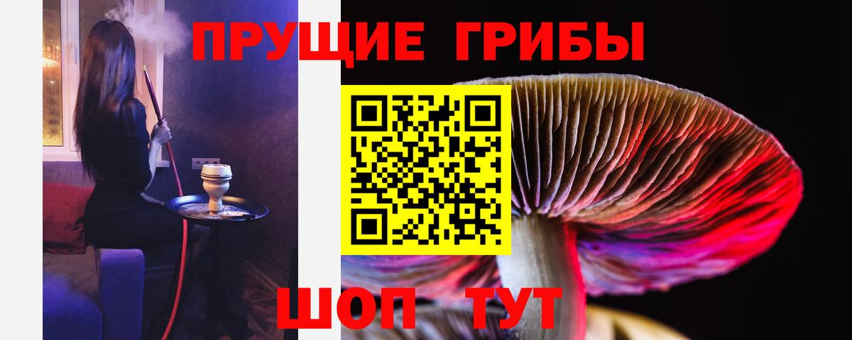 Кимовск  Псилоцибиновые грибы MAGIC MUSHROOMS  Вход с VPN  Псилоцибиновые грибы мухоморы 