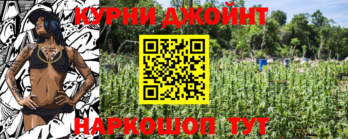 Кимовск  Бошки Шишки сатива  МАРИХУАНА тримм  Канабис SATIVA & INDICA  Вход с VPN  Конопля план 
